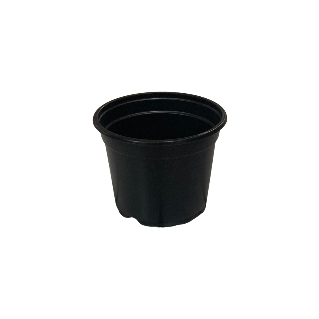2l plant pots 2L Plant Pot (17cm) – Riverside Aquatics