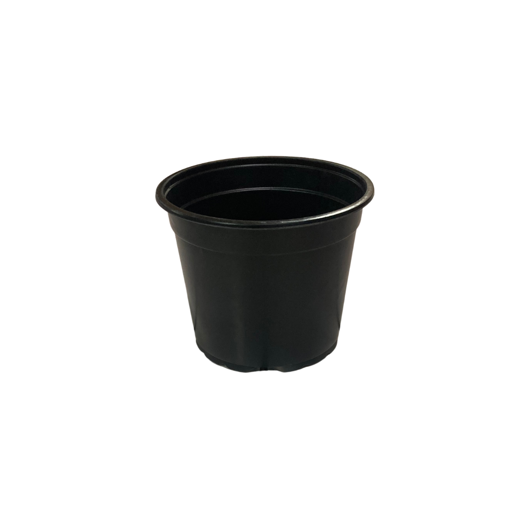 4l plant pot 4L Plant Pot (21cm) – Riverside Aquatics