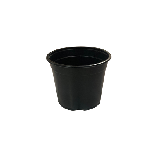 4L Shurb Pot (21cm)