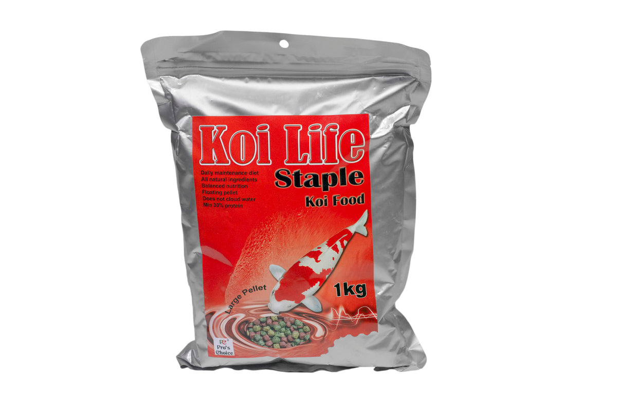 Koi Life economy 2Kg med / Lg