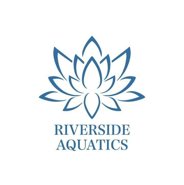 Riveside Aquatics