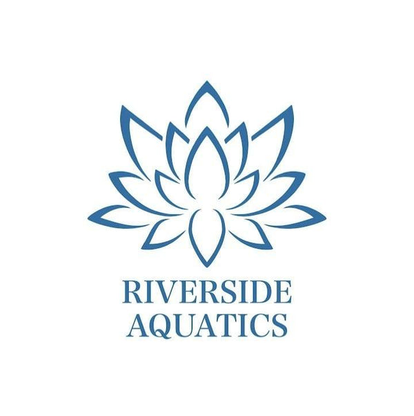 Riverside Aquatics