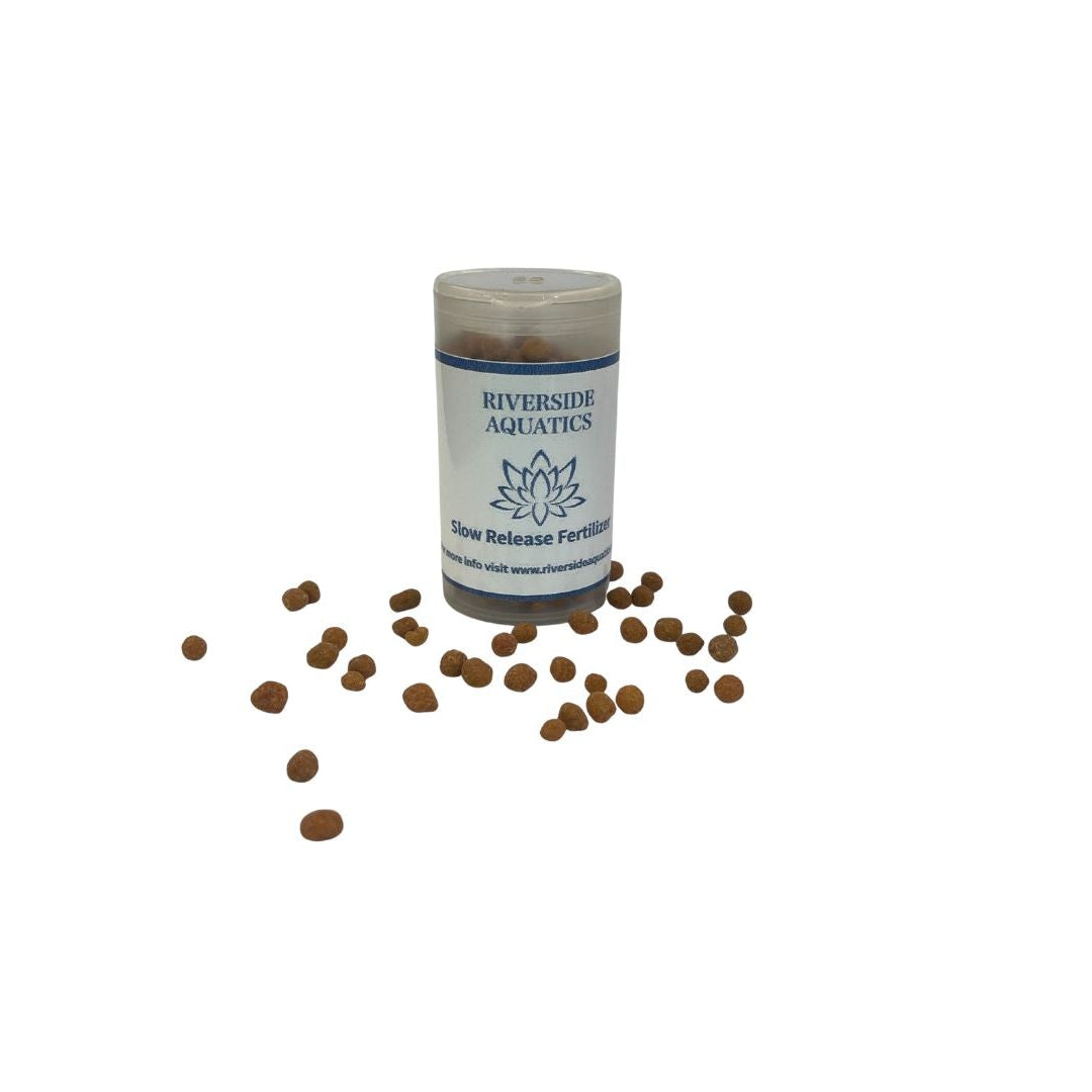 Slow Release Fertilizer (Small container)